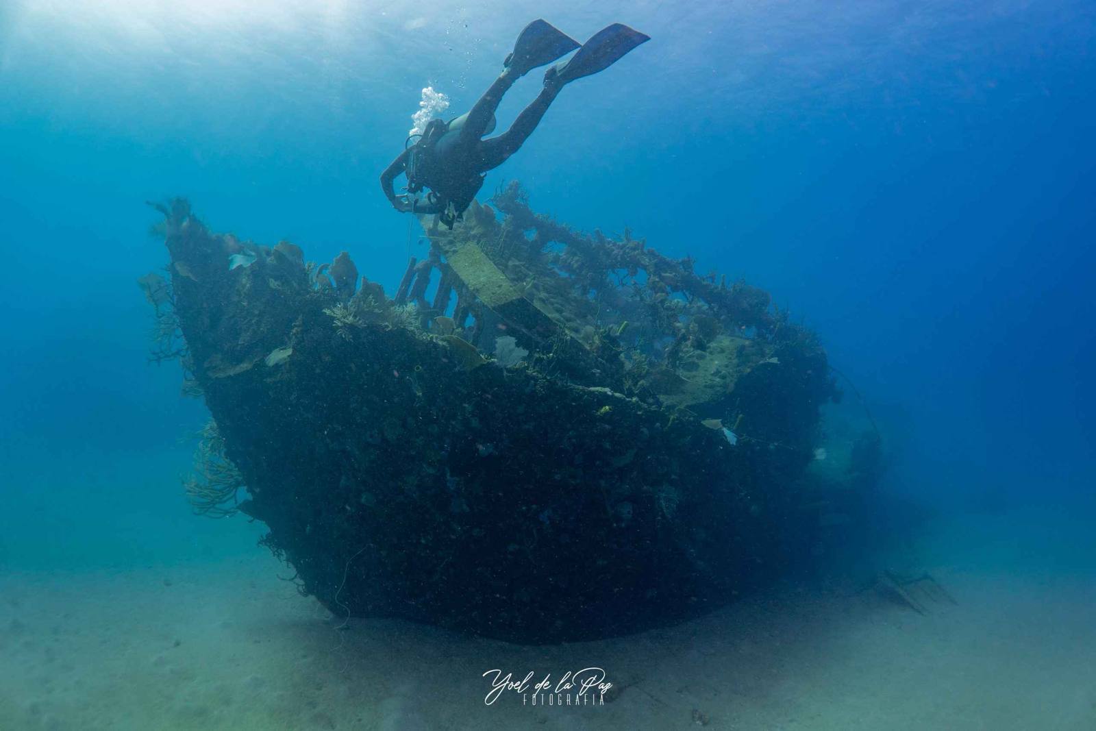 Tropical fish swarm around Cuban reef