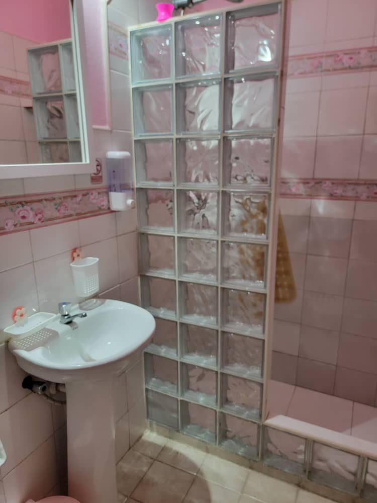 Bathroom with a glass-block walk-in shower