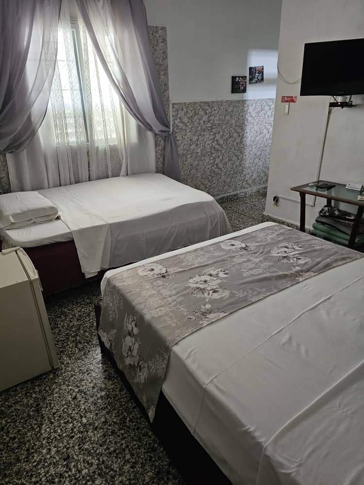 Twin-bed room with garden window