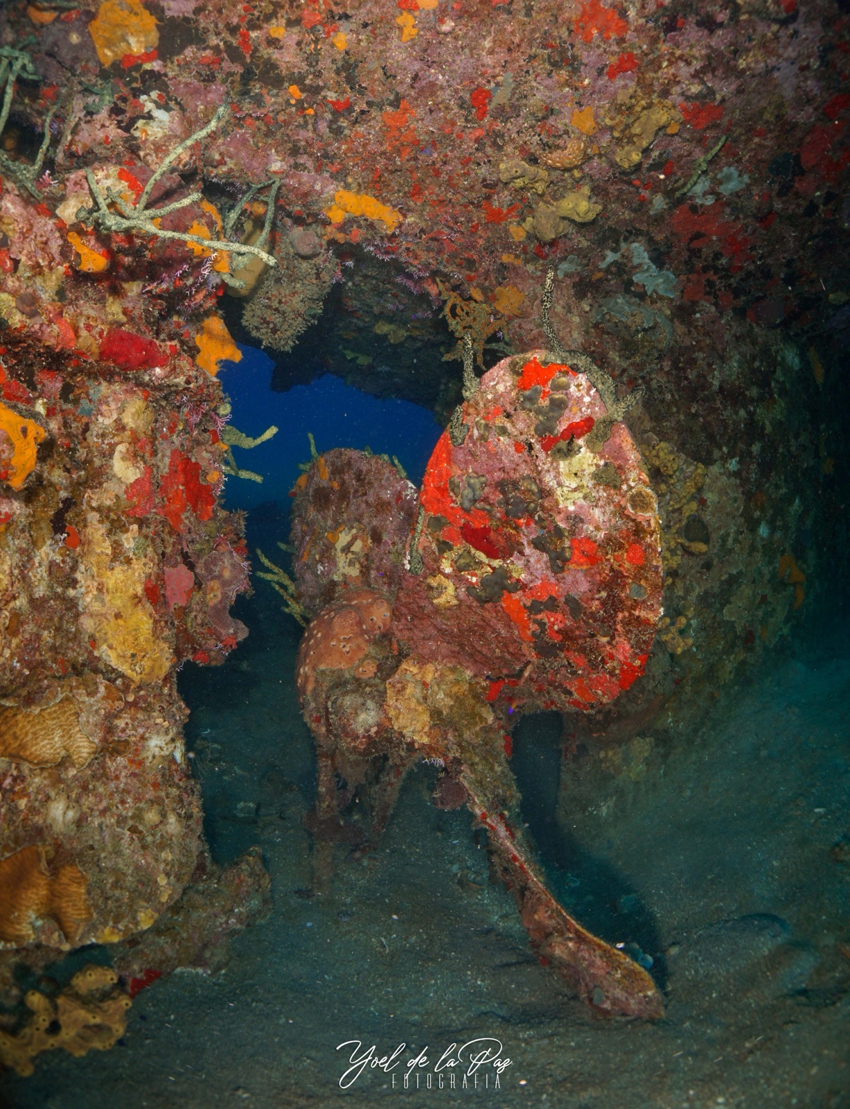 Diver exploring the Camaronero shipwreck propeller
