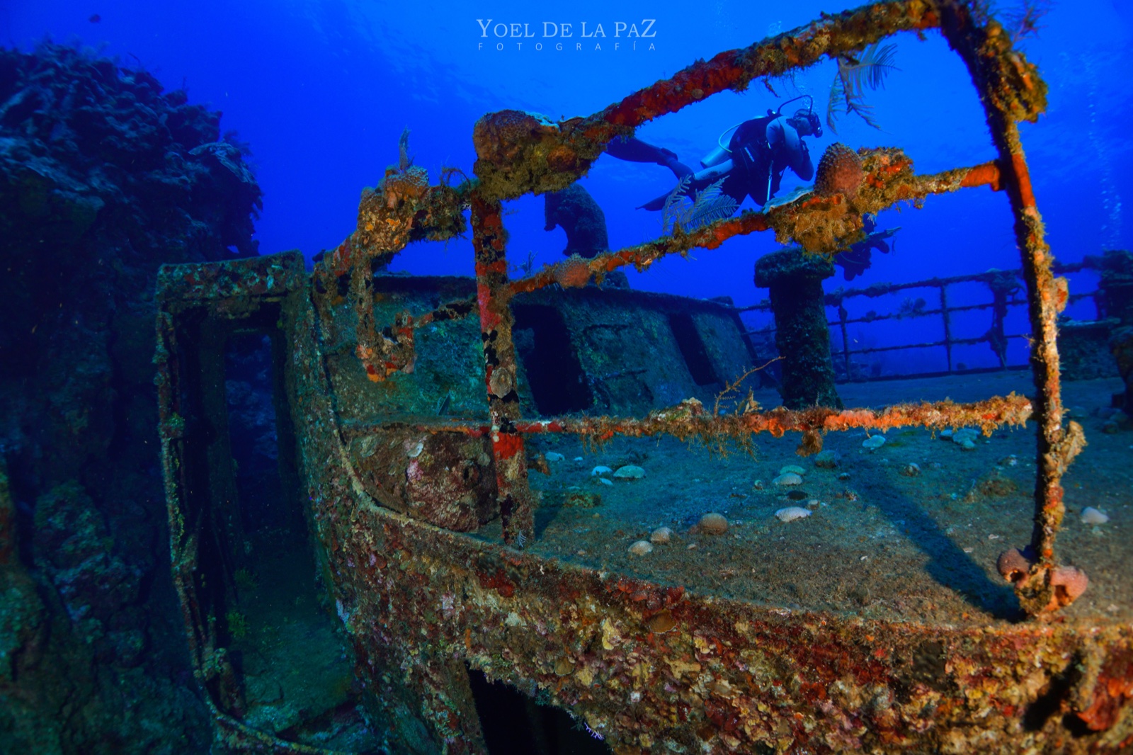 The Camaronero shipwreck draped in coral