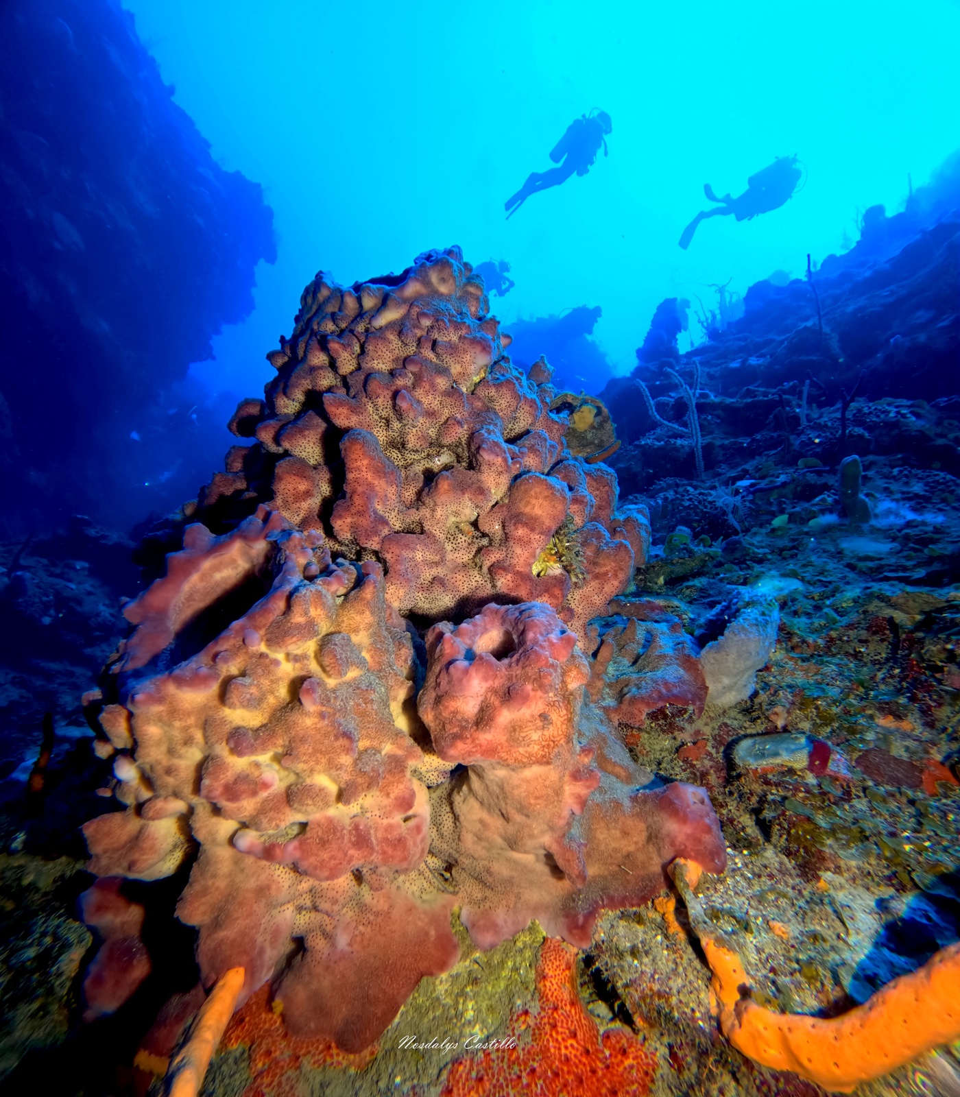Shipwreck encrusted with coral and sponges