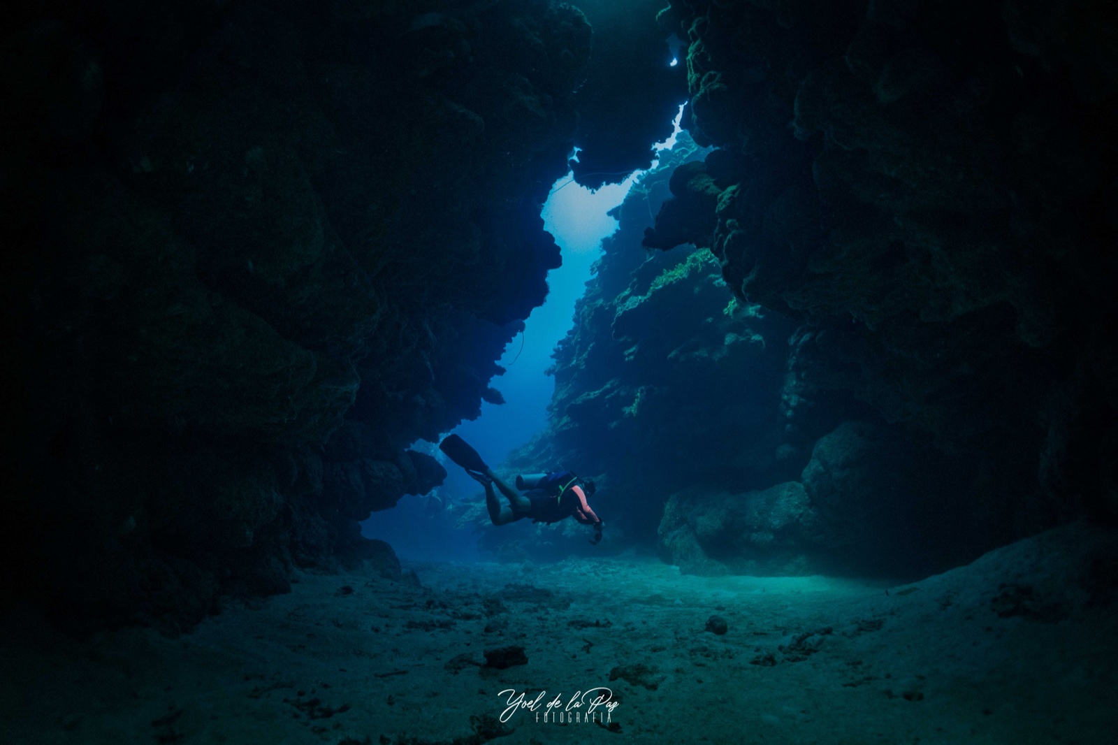 Diver descending along a deep blue wall