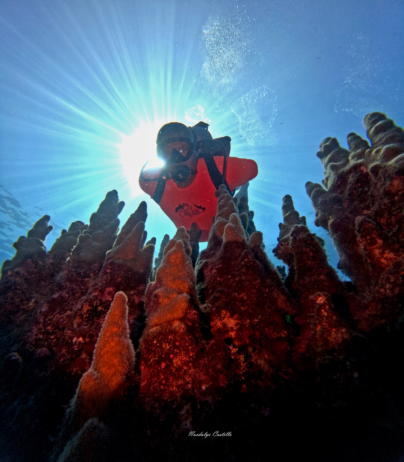 Divers silhouetted in god rays over a Cuban reef