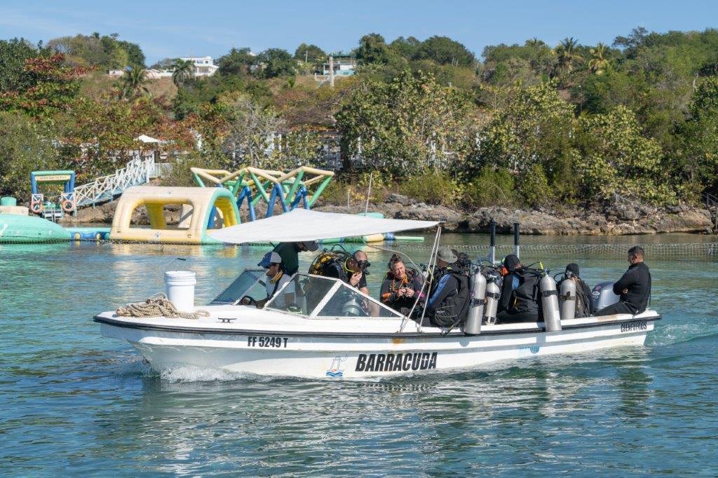 Faro Luna dive boat