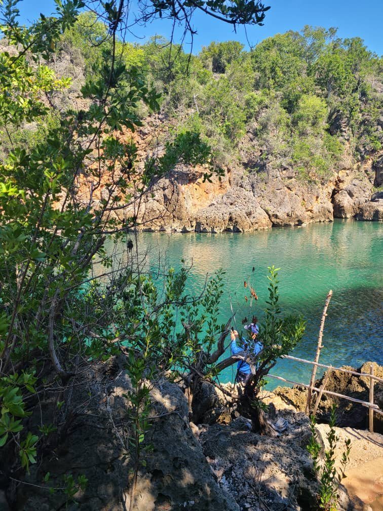 Turquoise cove view through the trees