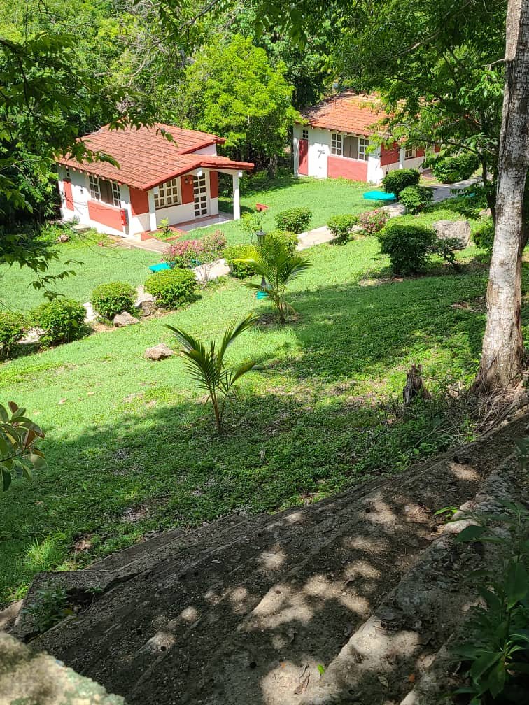 Eco-lodge cabin path