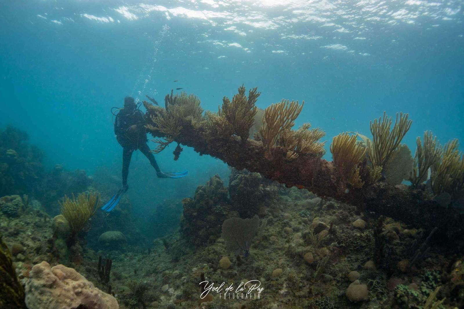 Divers swimming through a Cuban shipwreck
