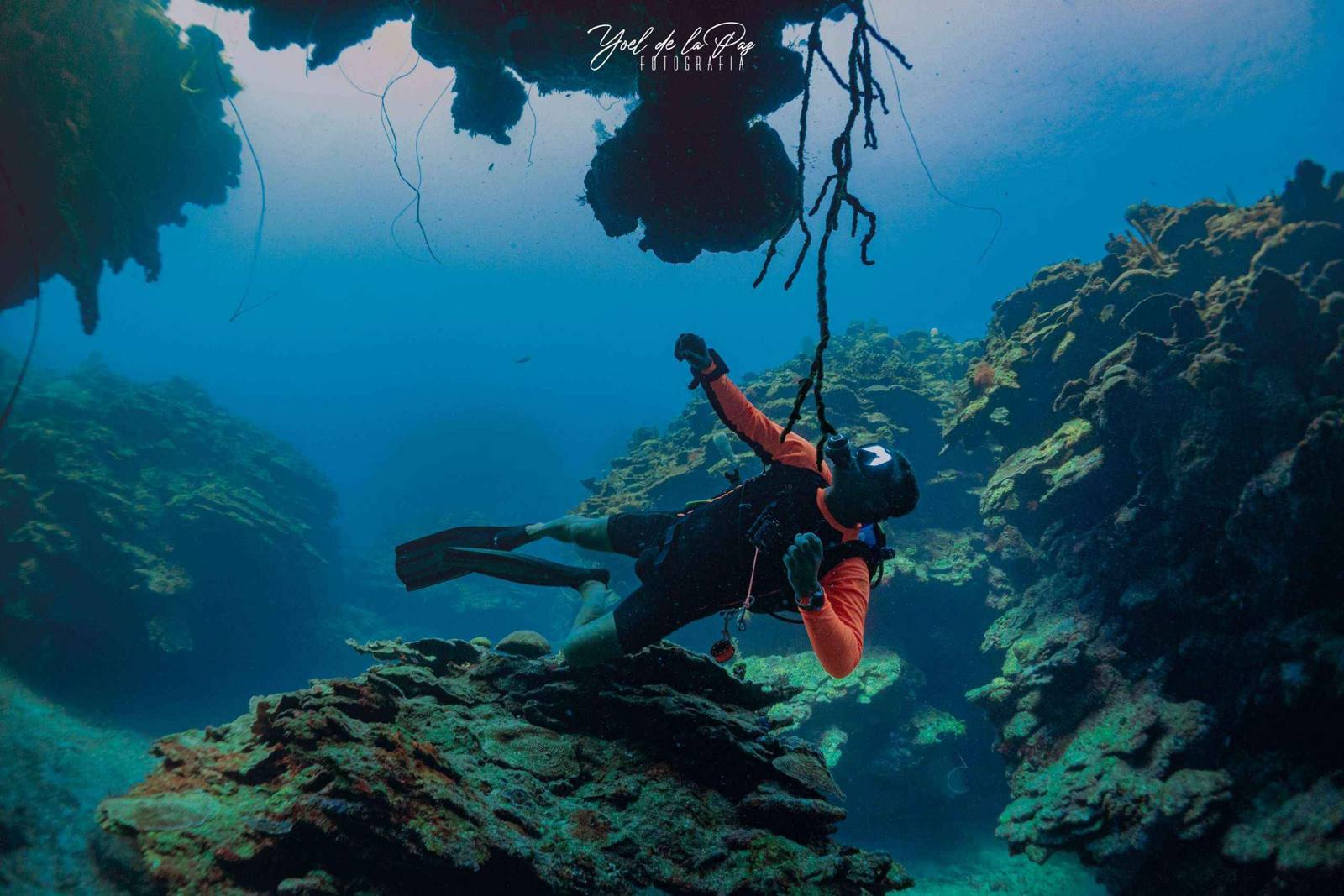 Diver exploring a mogote reef formation
