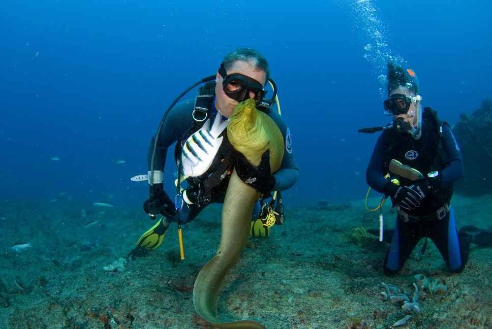 Mortera dive site — Cienfuegos, Cuba