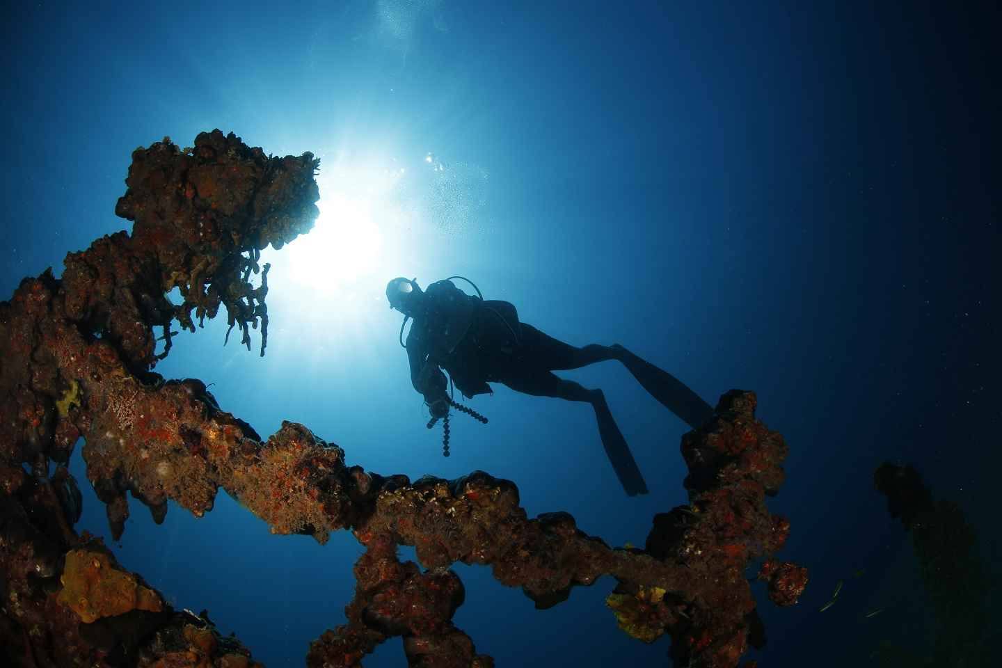 Diver illuminating a coral reef wall in Cuba